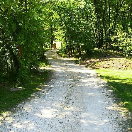 Alle Vallesse Altavilla Vicentina Buitenkant foto